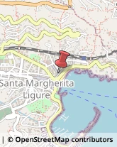 Calzaturifici e Calzolai - Macchine Santa Margherita Ligure,16038Genova