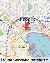 Usato - Compravendita Rapallo,16035Genova