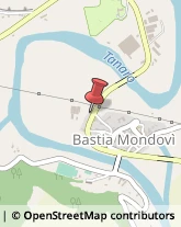 Pavimenti in Legno Bastia Mondovì,12060Cuneo