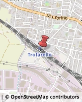 Trasporti Ferroviari Trofarello,10028Torino