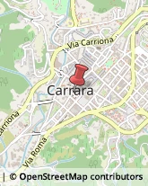 Feste - Organizzazione e Servizi Carrara,54033Massa-Carrara