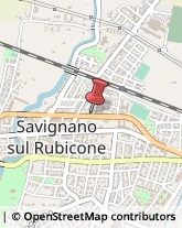 Integratori Alimentari Savignano sul Rubicone,47039Forlì-Cesena