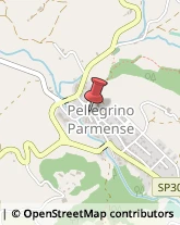 Autofficine e Centri Assistenza Pellegrino Parmense,43047Parma