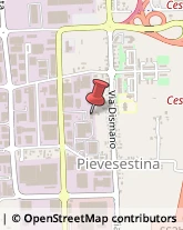 Tipografie Cesena,47522Forlì-Cesena