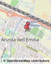 Animali Domestici - Toeletta,40011Bologna