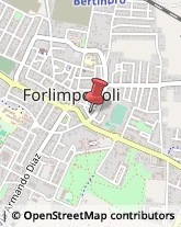 Macellerie Forlimpopoli,47034Forlì-Cesena