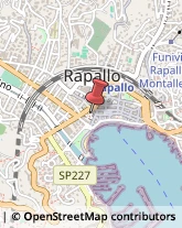 Artigianato Tipico Rapallo,16035Genova