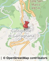 Farmacie Castiglione di Garfagnana,55033Lucca