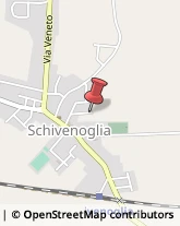 Imprese Edili Schivenoglia,46020Mantova