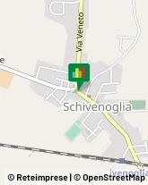 Enoteche Schivenoglia,46020Mantova