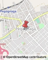 Tabaccherie Pegognaga,46020Mantova