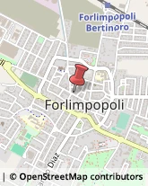 Dolci - Vendita Forlimpopoli,47034Forlì-Cesena