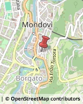 Estetiste Mondovì,12084Cuneo