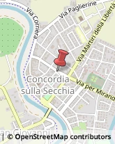 Avvocati Concordia sulla Secchia,41033Modena