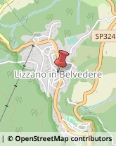 Assicurazioni Lizzano in Belvedere,40042Bologna