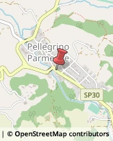 Aziende Agricole Pellegrino Parmense,43047Parma