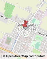 Erboristerie Sant'Agata Bolognese,40019Bologna