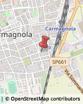 Logopedia Carmagnola,10022Torino