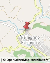 Provincia e Servizi Provinciali Pellegrino Parmense,43047Parma