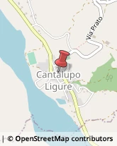 Bar e Caffetterie Cantalupo Ligure,15060Alessandria