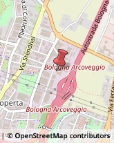 Autotrasporti Bologna,40128Bologna