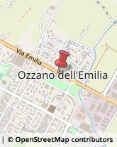 Ristoranti Ozzano dell'Emilia,40064Bologna