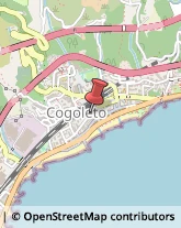 Ragionieri e Periti Commerciali - Studi Cogoleto,16016Genova