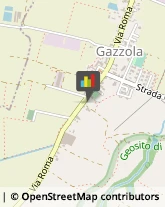 Aziende Agricole Gazzola,29010Piacenza