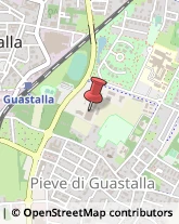 Ricerca Scientifica - Istituti Guastalla,42016Reggio nell'Emilia