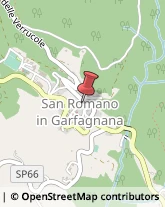 Alimentari San Romano in Garfagnana,55038Lucca