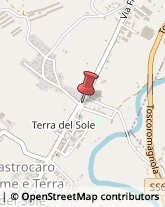 Disinfezione, Disinfestazione e Derattizzazione Castrocaro Terme e Terra del Sole,47011Forlì-Cesena