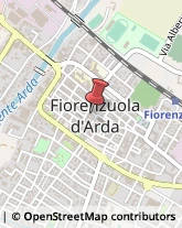 Cornici ed Aste - Dettaglio Fiorenzuola d'Arda,29017Piacenza