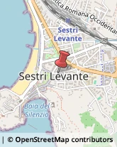 Agenzie Immobiliari Sestri Levante,16039Genova