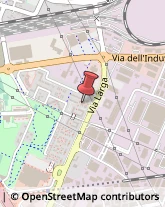 Traduttori ed Interpreti Bologna,40138Bologna