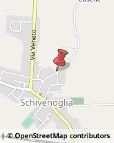 Imprese Edili Schivenoglia,46020Mantova