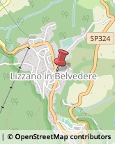 Farmacie Lizzano in Belvedere,40042Bologna