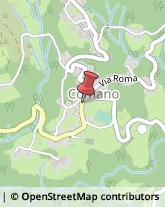 Panetterie Comano,54015Massa-Carrara