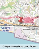 Aziende Agricole Genova,16157Genova