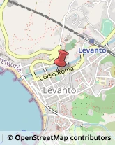 Assicurazioni Levanto,19015La Spezia