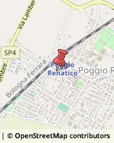 Ottica, Occhiali e Lenti a Contatto - Dettaglio Poggio Renatico,44028Ferrara