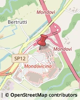 Alimentari Mondovì,12084Cuneo