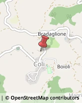 Imprese Edili Coli,29020Piacenza