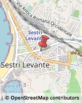 Articoli Sportivi - Dettaglio Sestri Levante,16039Genova