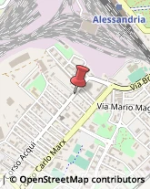 Maniscalchi Alessandria,15100Alessandria