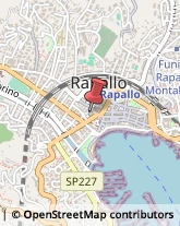 Podologia - Studi e Centri Rapallo,16035Genova