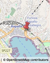 Danni e Infortunistica Stradale - Periti Rapallo,16035Genova