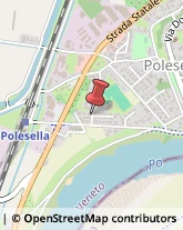 Palestre e Centri Fitness Polesella,45038Rovigo