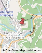 Oncologia - Medici Specialisti Castelnuovo di Garfagnana,55032Lucca