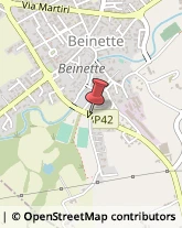 Zootecnia - Prodotti Beinette,12081Cuneo