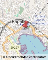 Avvocati Rapallo,16035Genova